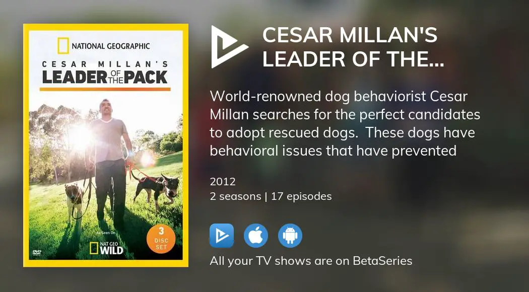 Where to watch Cesar Millan's Leader of the Pack TV series