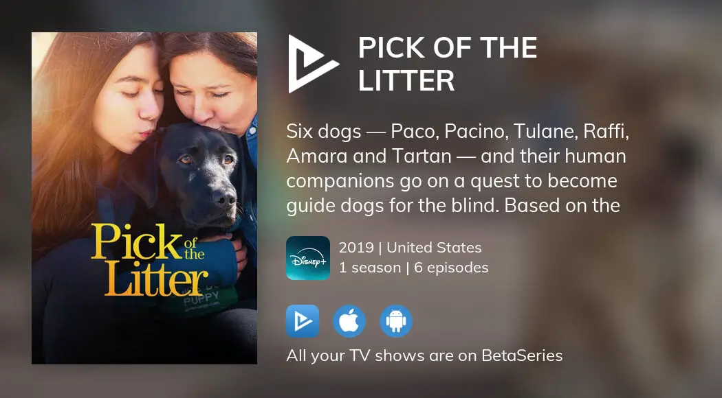 Watch Pick of the Litter streaming