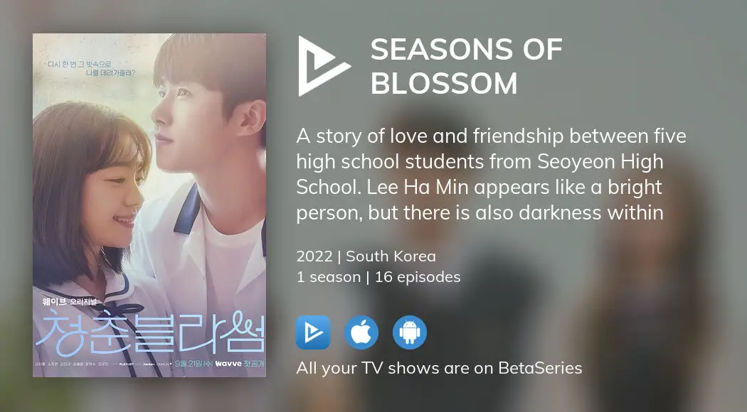 Where to watch Seasons of Blossom TV series streaming online ...