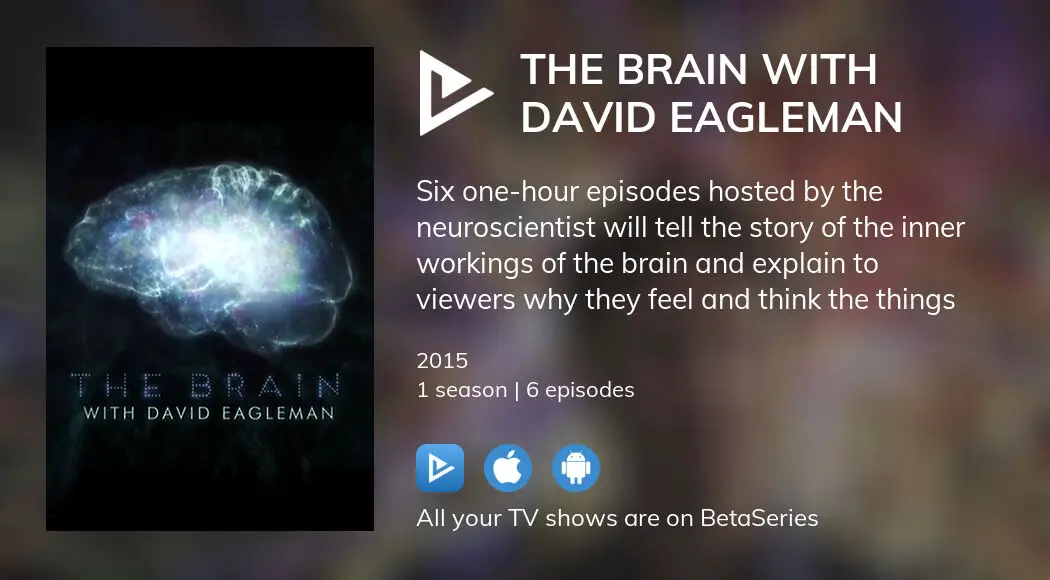 Where To Watch The Brain With David Eagleman Tv Series Streaming Online 9904