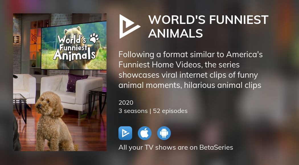 America's funniest best sale animals tv show