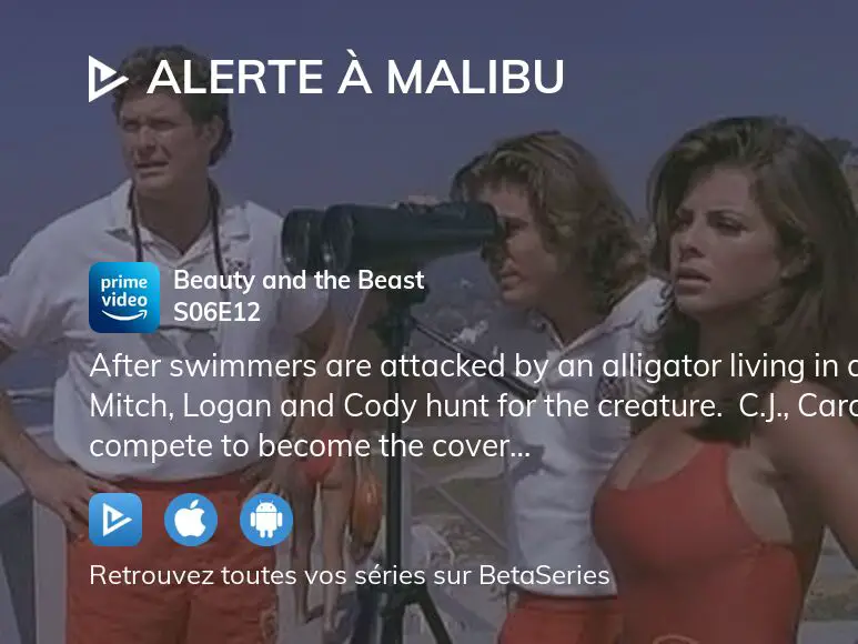 Où regarder Alerte à Malibu saison 6 épisode 12 en streaming complet ...