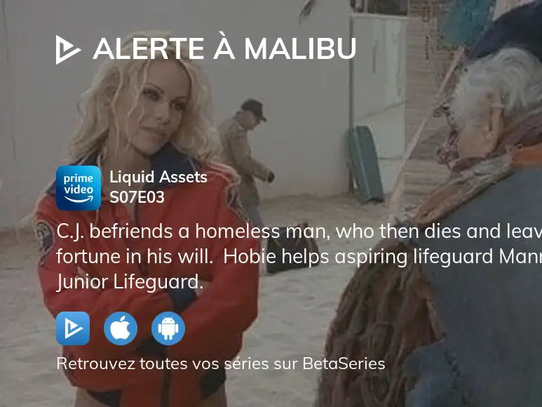 Alerte à Malibu  – Vivez l’Intrigue en Streaming !