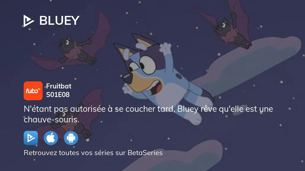 Bluey saison 1 épisode 8 en replay