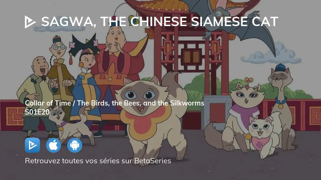 Regarder Sagwa, the Chinese Siamese Cat saison 1 épisode 20 en ...