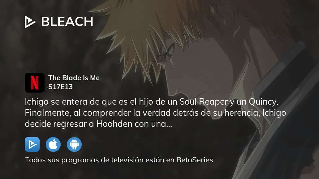 Assista Bleach temporada 17 episódio 13 em streaming