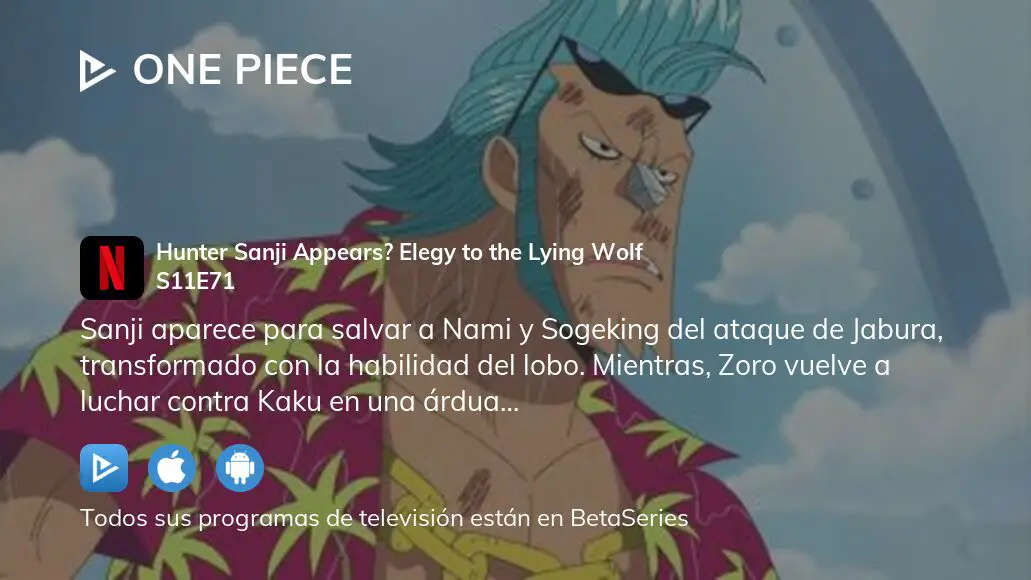 Ver One Piece temporada 11 episodio 71 en streaming