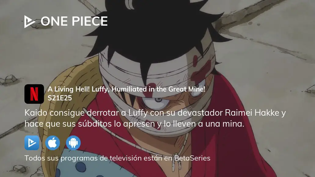 Ver One Piece Temporada 21 Episodio 25 En Streaming Betaseries Com