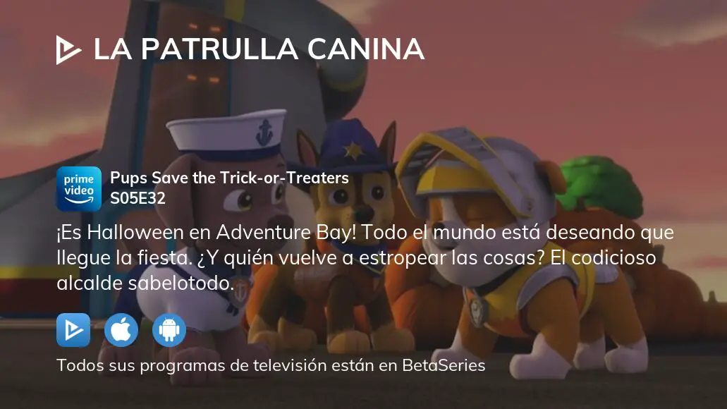 Ver La Patrulla Canina Temporada 5 Episodio 32 En Streaming 3355