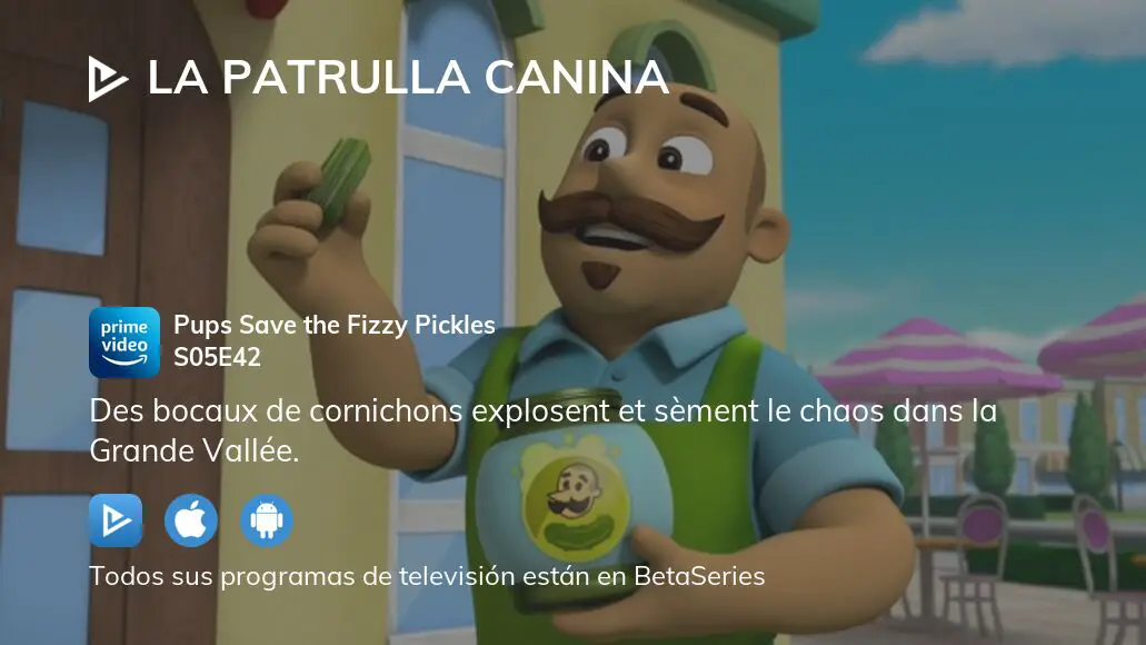 Ver La Patrulla Canina Temporada 5 Episodio 42 En Streaming 6886