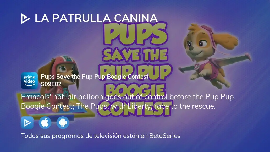 Ver La patrulla canina, Temporada 9, Episodio 1, Liberty hace un nuevo  amigo. La patrulla salva el concurso de Guau Guau Boogie. online