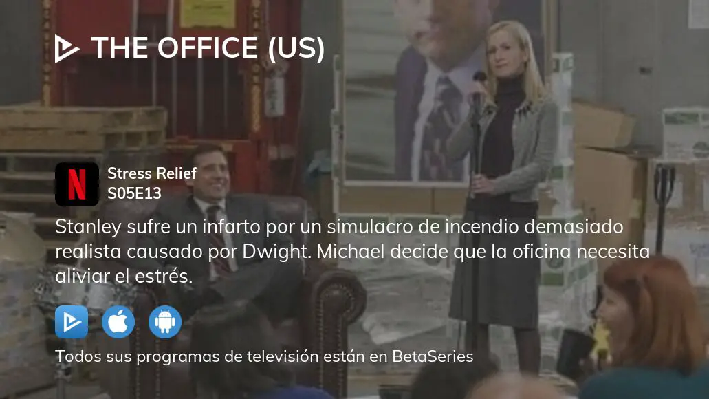 Ver The Office (US) temporada 5 episodio 13 en streaming 