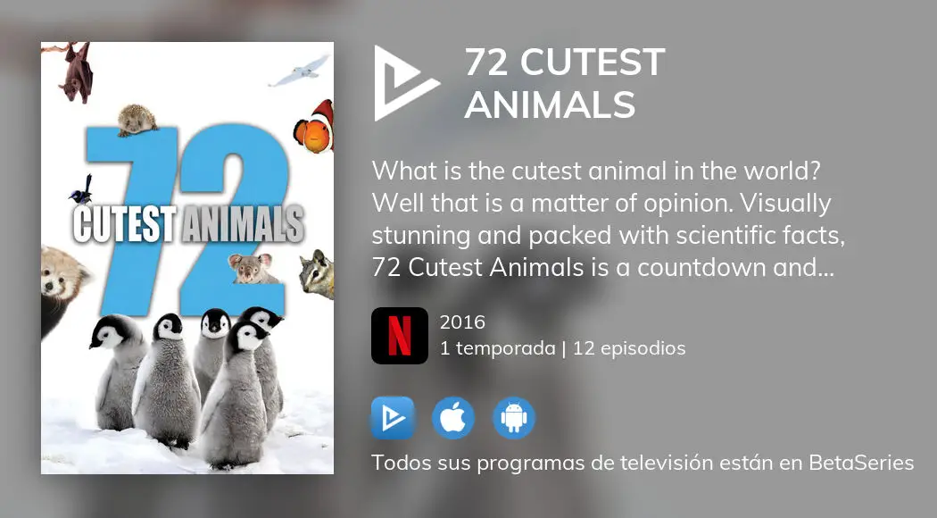 d-nde-ver-72-cutest-animals-tv-series-streaming-online-betaseries