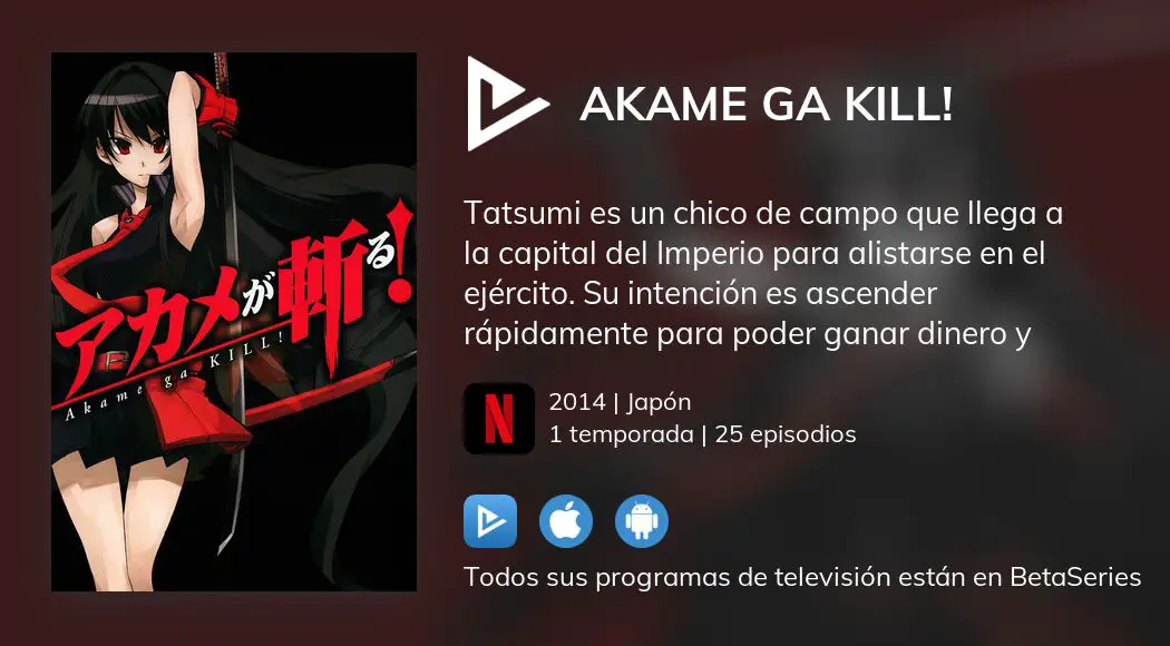 Akame Ga Kill llega a Netflix este fin de semana