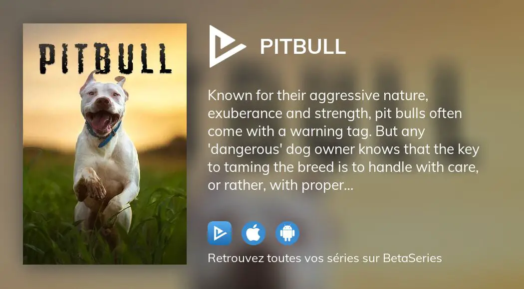 Regarder le film Pitbull en streaming complet VOSTFR, VF, VO