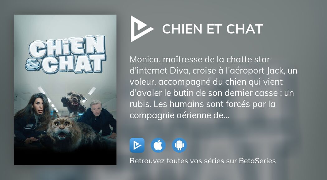 chat et chien film avis