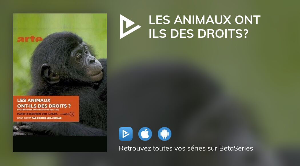 Regarder Les Animaux Ont Ils Des Droits Streaming Betaseries Com