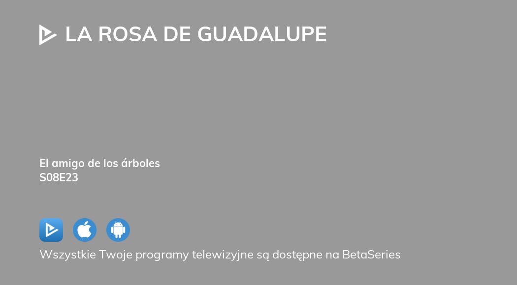 Oglądaj La Rosa de Guadalupe sezon 8 odcinek 23 streaming online |  BetaSeries.com