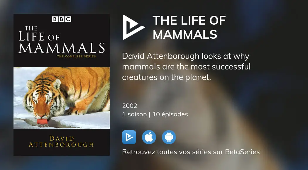 Où regarder les épisodes de The Life of Mammals en streaming complet